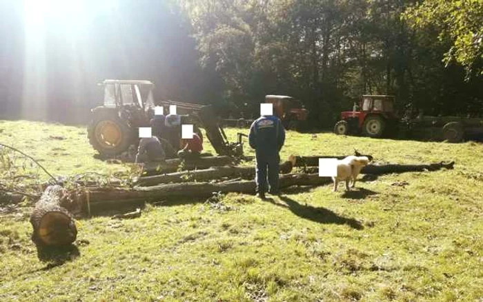 Pentru a nu fi identificat, capul câinelui a fost înlocuit cu un patrat alb FOTO Facebook.com/Jandarmeria Sălaj