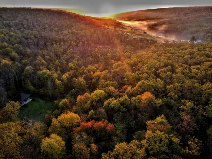 Chilia Sfântului Paisie Olaru FOTO Manastirea Cozancea/Facebook