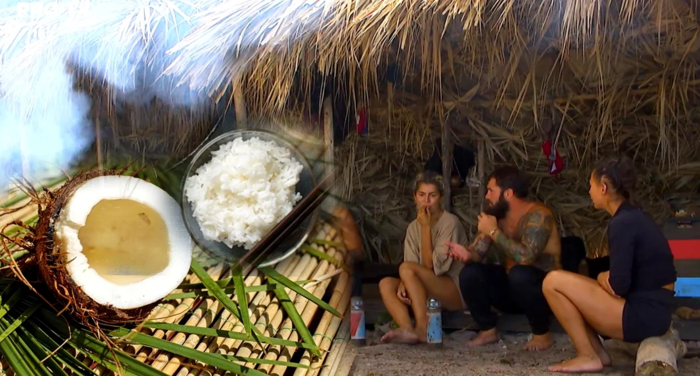 Cât de periculoasă este combinația cocos-orez? FOTO: Colaj Click! (Pixabay / Pro TV)