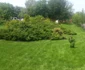 Parcul Alpinet inaugurare Timisoara FOTO Daniel Dancea