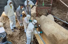 Sarcofag roman descoperit intact și sigilat (© Muzeji i galerije Konavala)