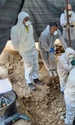 Sarcofag roman descoperit intact și sigilat (© Muzeji i galerije Konavala)