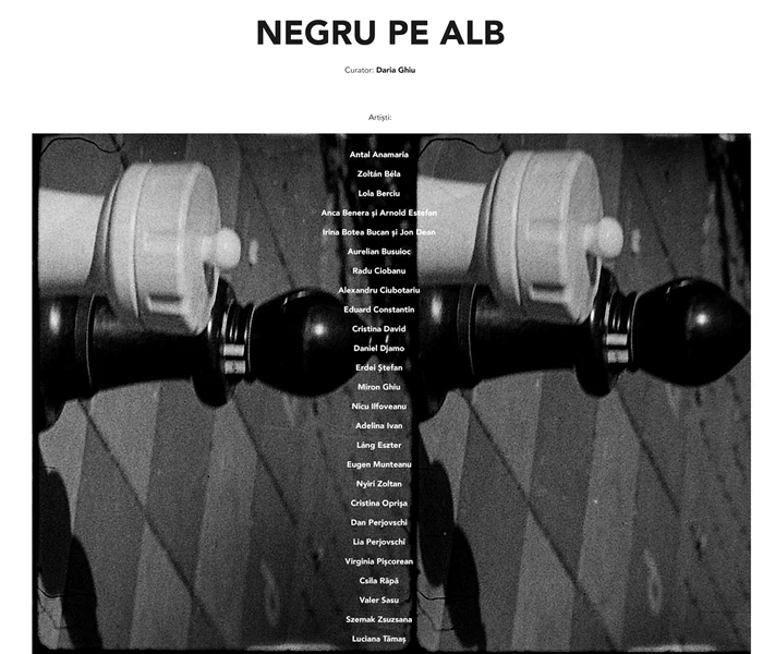 Bienala Alb negru jpeg