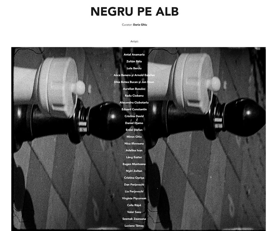 Bienala Alb negru jpeg