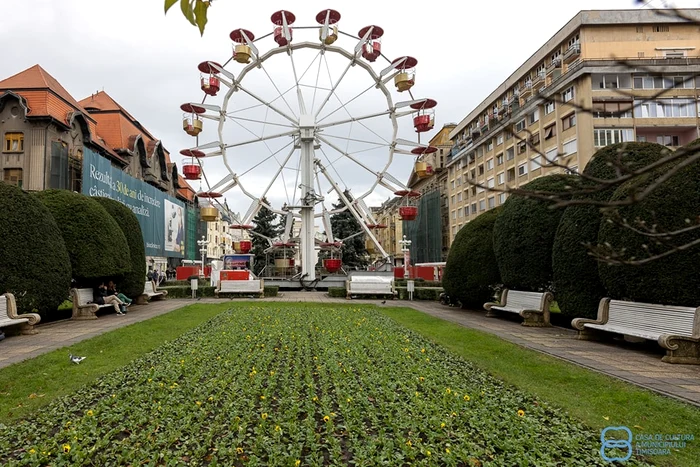 Roata panoramică din Timișoara FOTO Casa de Cultură a Municipiului