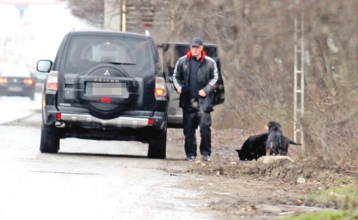 Bellu cumopără special mâncare pentru maidanezi
