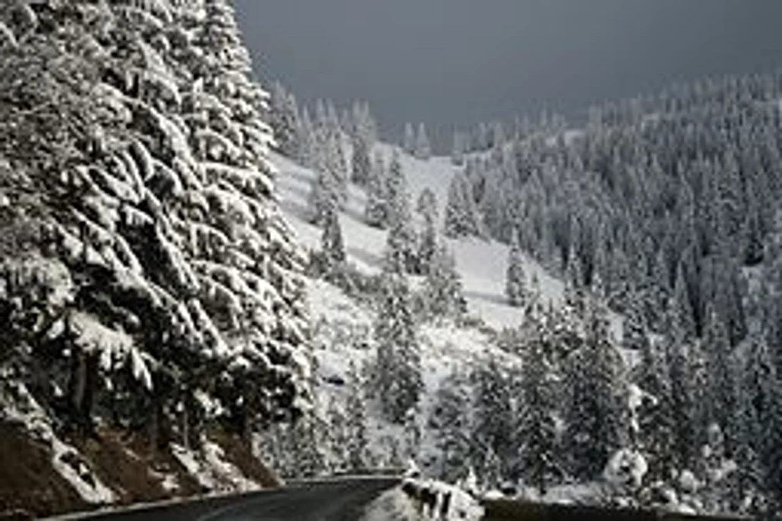Lecturi în iglu jpeg