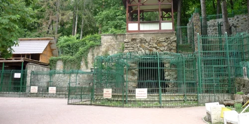 „Grota urşilor” şi foişorul în care cânta fanfara militară