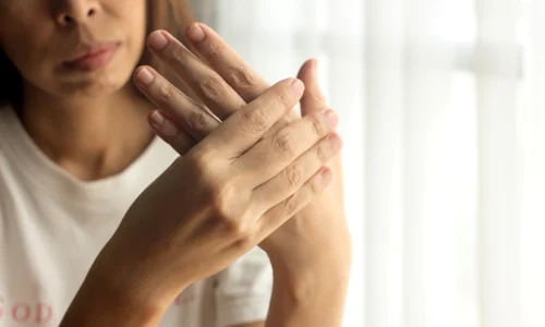 shutterstock 2013634991 jpg