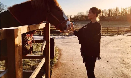 Daily Instagram Posts jpeg