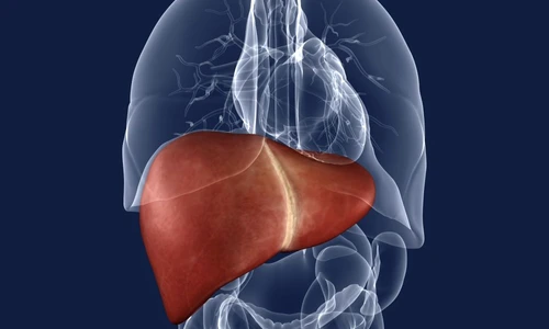 1 71079 original jpg jpeg