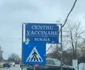 oms vaccinare vrancea