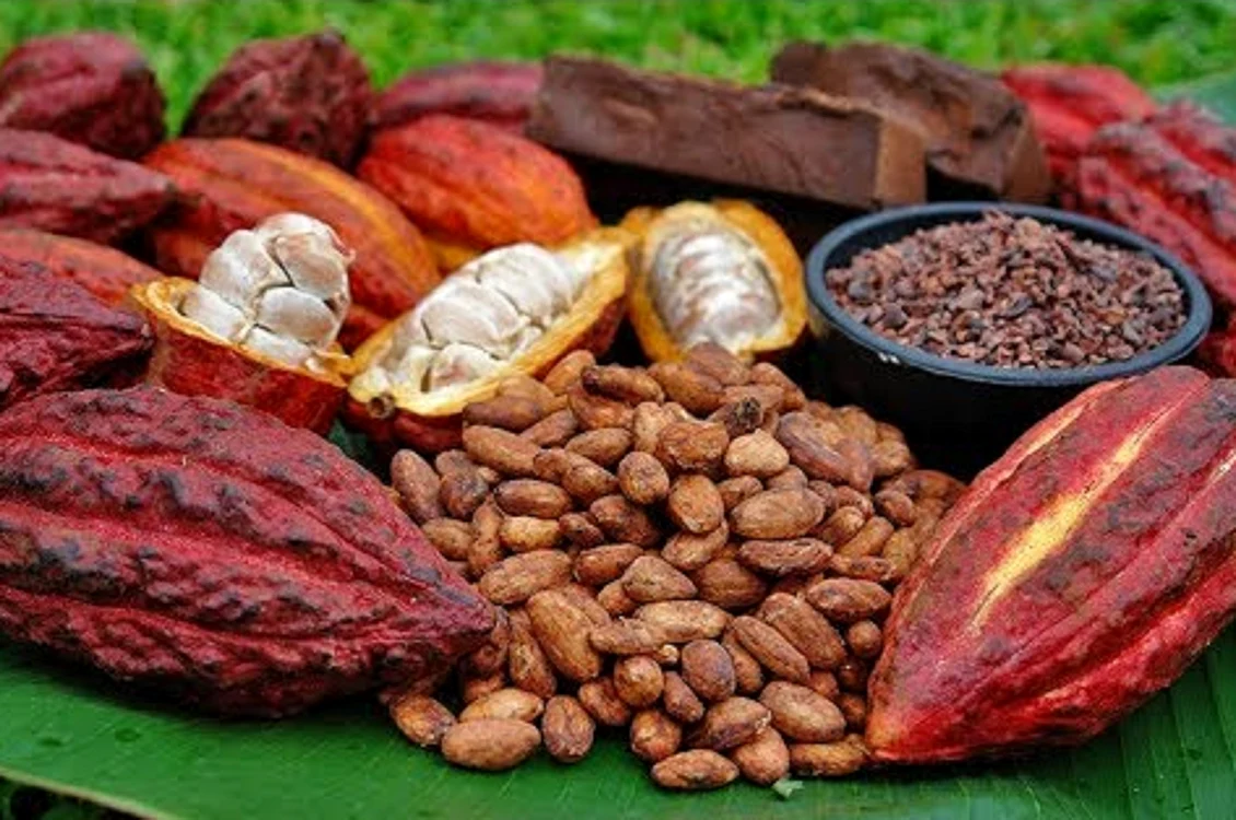 Boabe de cacao