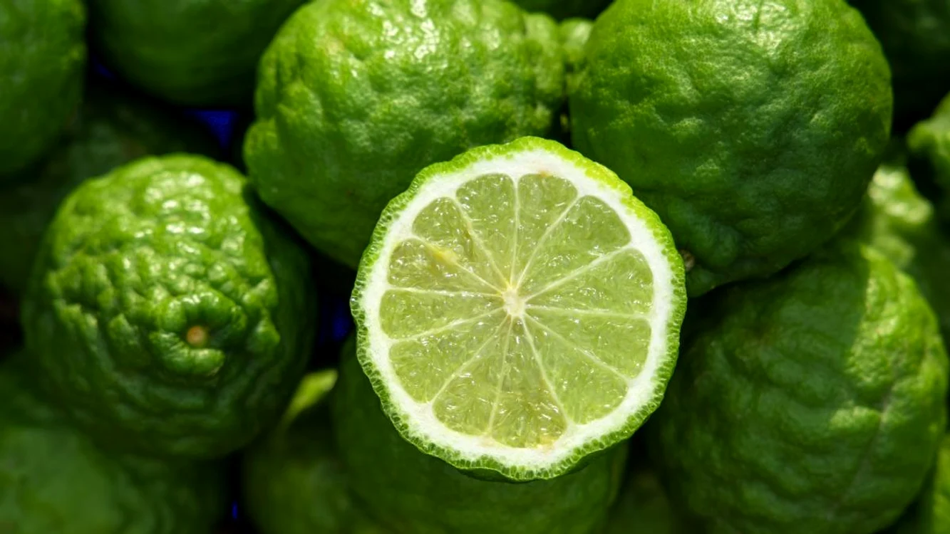 Bergamota (Citrus bergamia), cunoscută și sub denumirea de „bergamot orange”