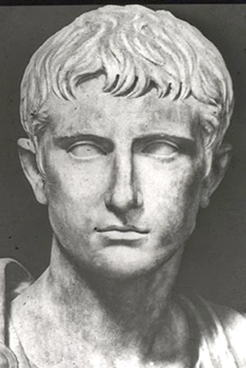 augustus prima head tm jpg jpeg