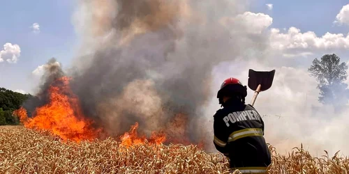 incendii vegetatie botosani FOTO ISU Botosani (3) jpg