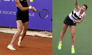 tig halep lovitura anului 2019 jpeg