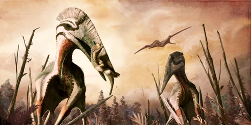 Hatzegopteryx png