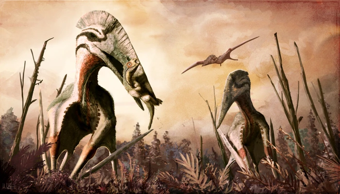Hatzegopteryx, o creatură zburătoare gigantică FOTO Mark Witton/wikipedia