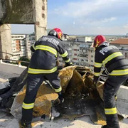 FOTO ISUJ Dâmbovița