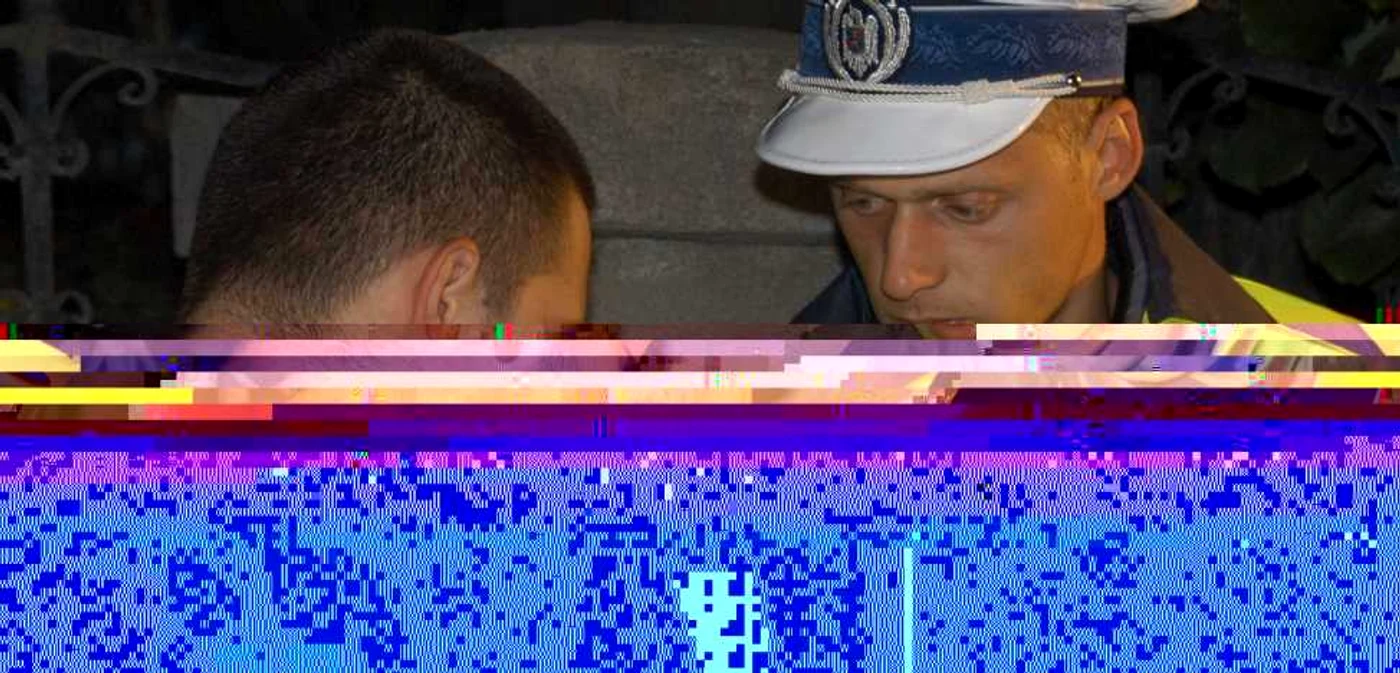 Codul Rutier, 
tras pe dreapta 
în Parlament     FOTO Adevărul