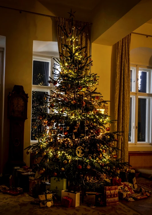 5 201912 principesa sofia foto craciun savarsin 01 jpg jpeg