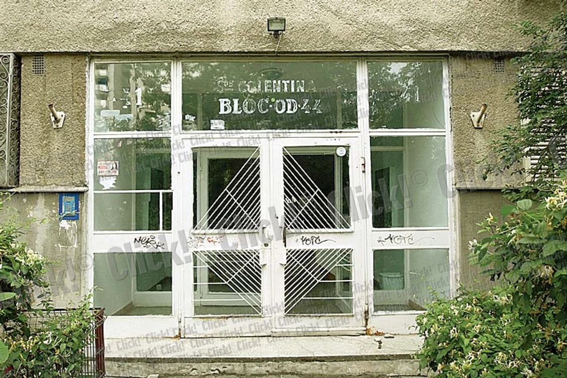 Nelu Ploieşteanu