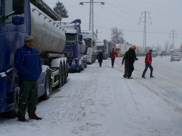 Circulaţia pe DN67 Drobeta-Turnu Severin – Târgu-Jiu s-a desfăşurat, ieri, cu dificultate, din cauza ninsorilor abundente FOTO Adevărul