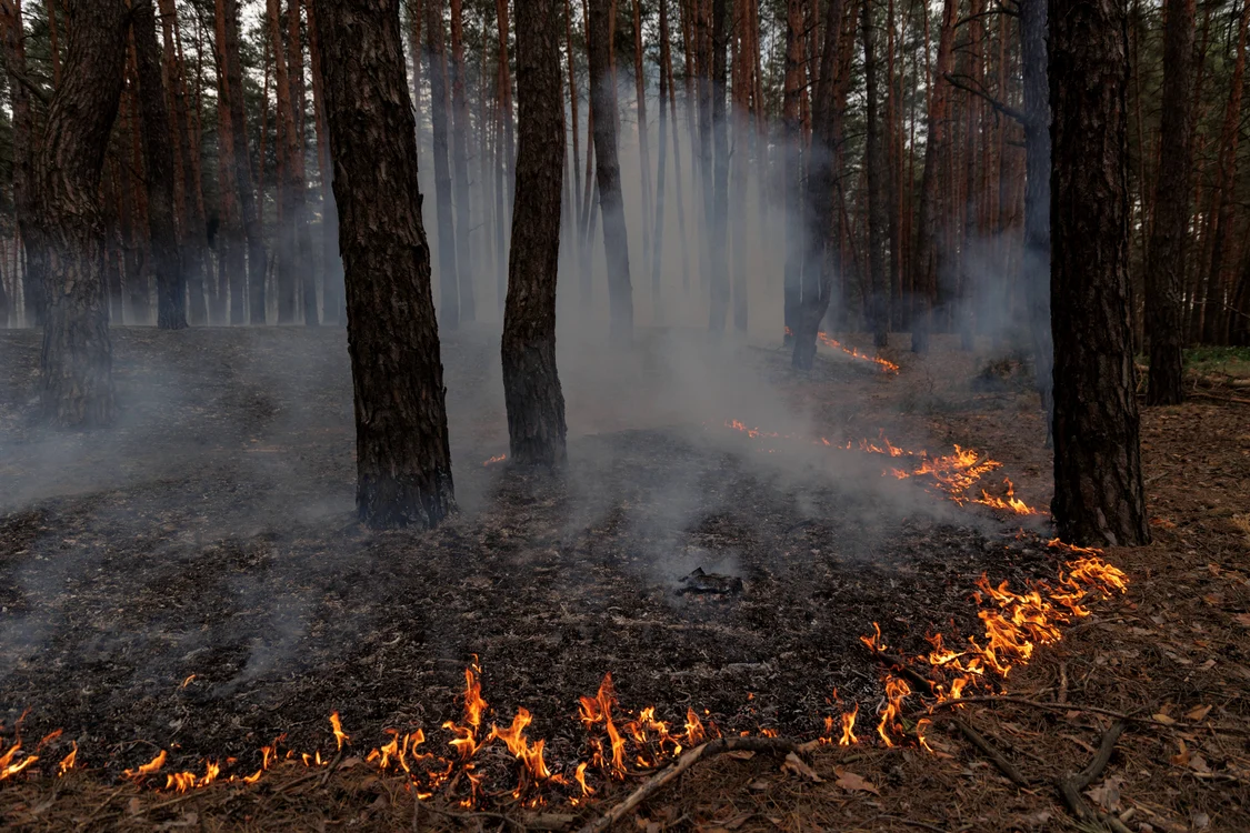 Incendiu în urma unui bombardat rus în regiunea Harkov FOTO PROFIMEDIA