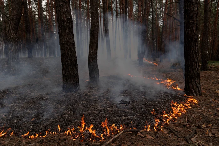 Incendiu în urma unui bombardat rus în regiunea Harkov FOTO PROFIMEDIA