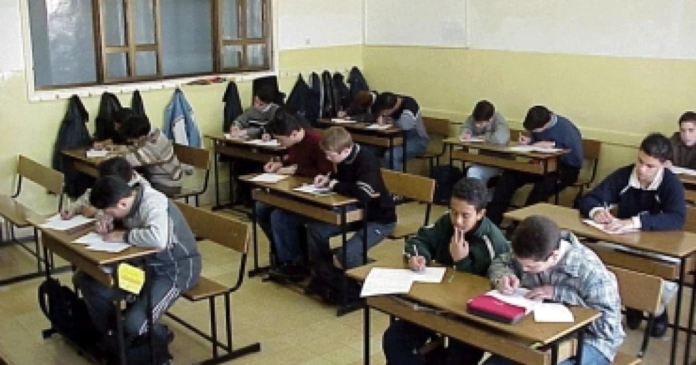 Satu Mare: Un vameş beat a ucis un cal şi a rănit trei persoane-Revista presei locale