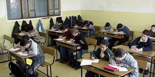 Satu Mare: Un vameş beat a ucis un cal şi a rănit trei persoane-Revista presei locale