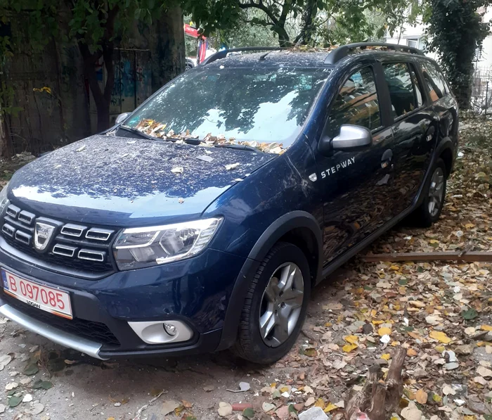 Mașinile familiei au fost distruse