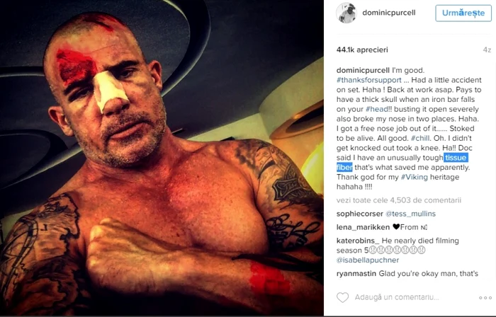 dominic purcell