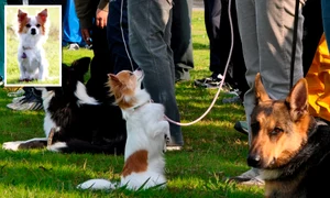 CLIIMA20101121 0115 1 jpeg