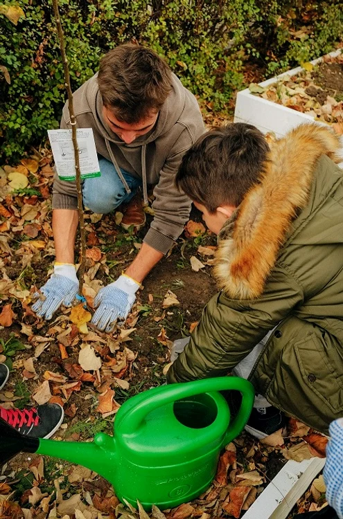 Pentru că este sezonul rece, copiii de la Școala 143 au plantat pomi fructieri
