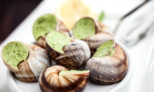 1 shutterstock 128640137 jpg jpeg