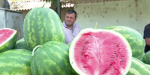 buzaupepenivalcelele