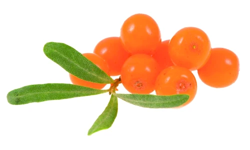 siropul de cătină jpeg