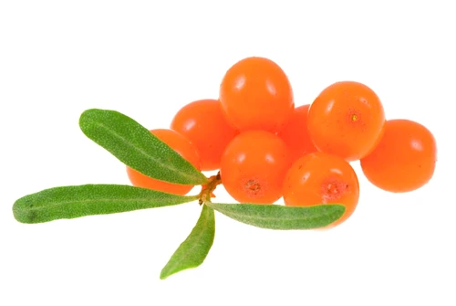 siropul de cătină jpeg