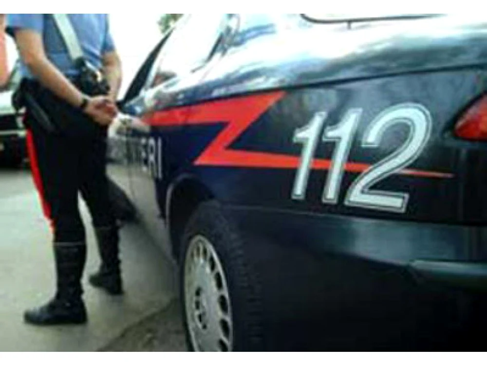 
    Forţele de ordine au reuşit să îi calmeze pe cei doi români  