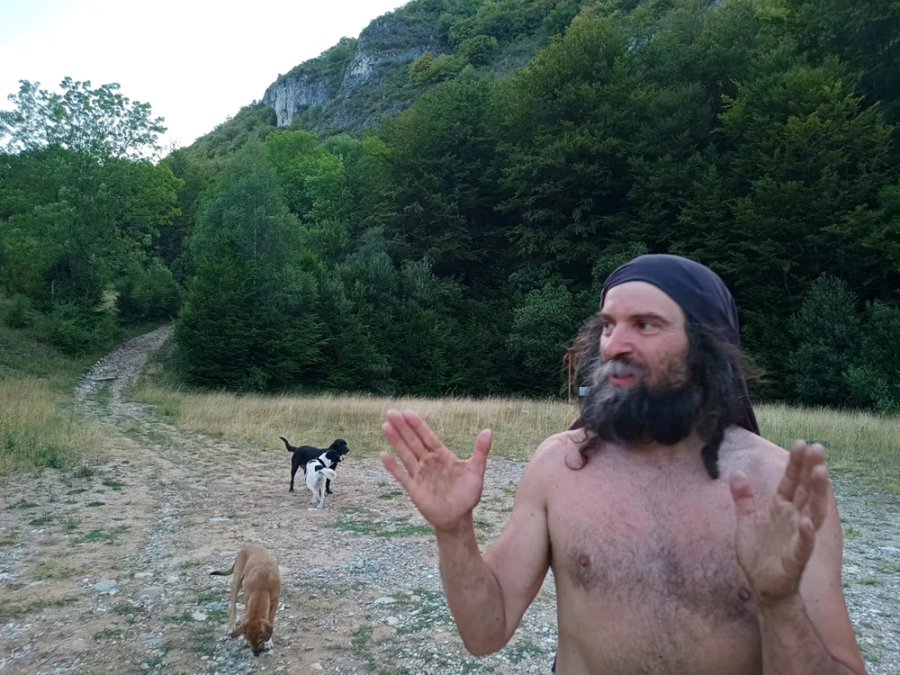 David doarme lângă poarta padocului                                                                    Foto: Alin Ion