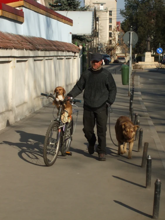 Cu ochii în 3,14 jpeg