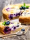 Cheesecake de afine  Sursa foto shutterstock 431627977 jpg