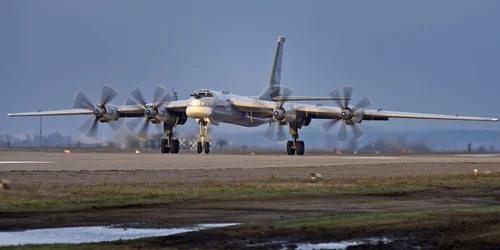 shutterstock 1330060109 jpg