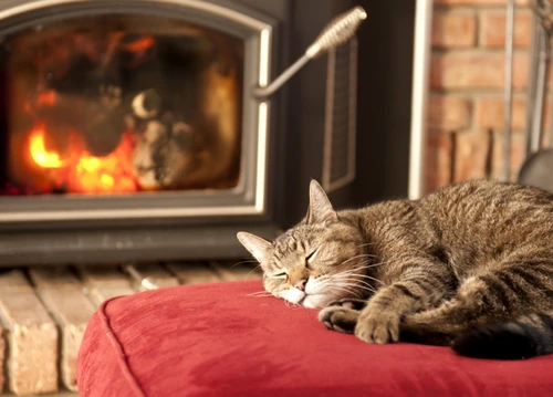 1 65728 original jpg jpeg