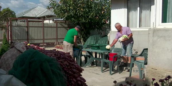 sezonul muraturilor cu apa sarata 1 mp4 thumbnail png