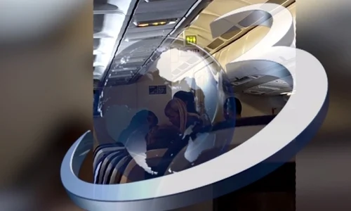 Imagini cu Elena Udrea în avion jpeg