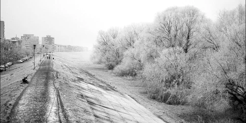 Artiştii sătmăreni îşi vor expune lucrările în galeria  Consiliului Judeţean