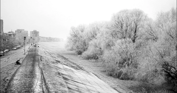 Artiştii sătmăreni îşi vor expune lucrările în galeria  Consiliului Judeţean